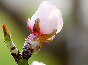 ALOJAMIENTOS RURALES